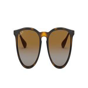 (레이반) Ray-Ban 편광 렌즈 RB4171F 편광 렌즈 710 T5 54