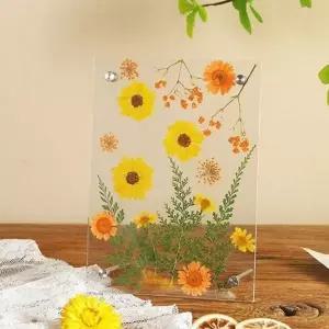 [셀러에이드]드라이 플라워 액자 꽃 액자 집들이선물 인테리어 홈데코 디자인