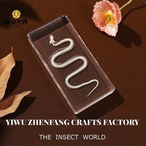 골격뱀 예술적인 곤충 표본: 독특한 공예품 전시품