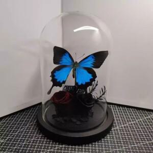 진짜 나비 표본 유리 커버 장식품 수제 생일 선물 말린 꽃 불멸의 다크 로즈