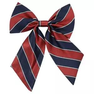 WL 유니폼 리본 넥타이 2종 학예회 연주회 어린이집 합창단 재롱잔치