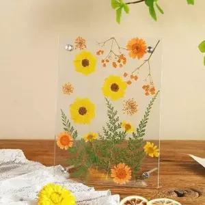 드라이 플라워 액자 꽃 액자 집들이선물 인테리어 홈데코 디자인