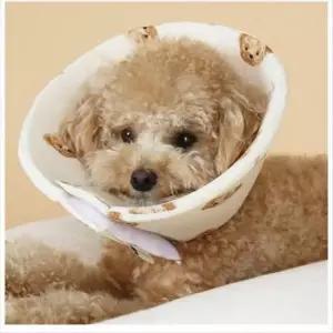 [반려] 코코베어 인견 넥카라 애견용품