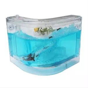 어린이 학습용 개미키우기 개미집 관찰 ㄱ자형 젤리 하우스 곤충키트