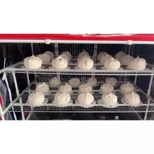 가정용 발효기 홈베이킹 빵 누룩 제과제빵 기계 소형