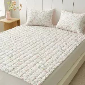 쁘띠누아 모달 침대패드 사계절 슈퍼싱글 퀸 부드러운 매트 SS Q