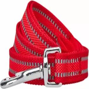 블루베리 펫 에센셜 반사형 더 나은 기본 반려견 목줄 루즈 레드 5피트 x 3/4인치 중간 크기