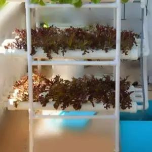 실내 재배기 수경 식물키우기 랙 새싹 트레이 수직 무토양 화분 가드닝