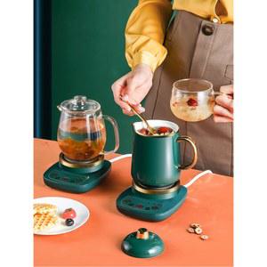 소형 미니 약탕기 사무실 500ml 통유리창 대용량 그린 빈티지 전기약탕기 다기능