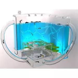 LED 개미 키우기 집관찰 유아 곤충 체험키트 교재 하우스 흰개미 생물