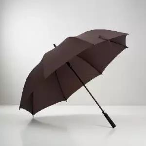 ( )블루 120cm 대형 자동 장우산 태풍 강풍 대비 튼튼한 경량 골프우산