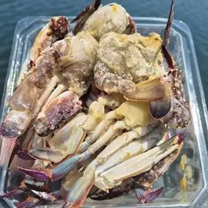 [장보리]국내산 급냉 손질 절단 꽃게 게장용 1kg