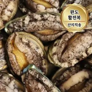 산지직송 완도 활전복 특대사이즈 1kg (8~9미) 산소포장