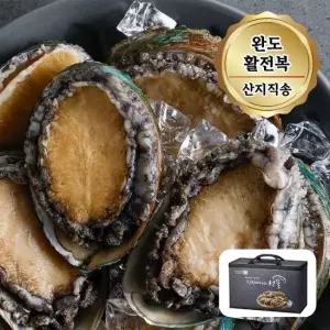 산지직송 완도 활전복 왕특사이즈 1kg (6~7미)+ 부직포선물포장