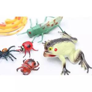 관찰 탐구 곤충 파충류 교육용모형 아기장난감 학습피규어