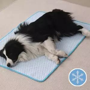 [에이치플러스몰]TBZ 온모어 강아지 쿨매트 고양이 쿨방석 쿨링 매트 방석