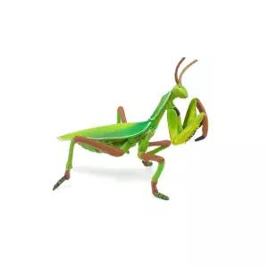 곤충피규어 사마귀 영유아 학습장난감 유치원교구 교육완구 세트