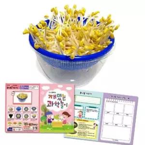 어린이 과학 과학 관찰 키트 학습 과학실험 식물 놀이 키우기 콩나물 가정용 재배기 가드닝 기르기 교육용