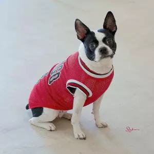 강아지 나시 메쉬 대형견옷 실내복 소형견옷 중형견옷yza737