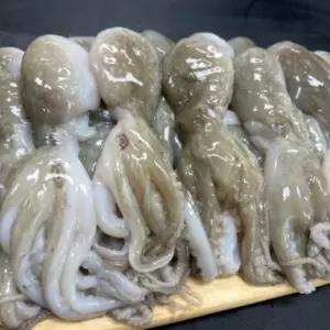 냉동 쭈꾸미 제철 주꾸미 2kg 2팩