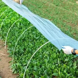 TBZ 비닐하우스비닐 자재 도시농업 농자재 소형2m x 5m