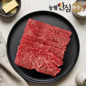 [농협안심한우] 1등급 한우 살치살 300g