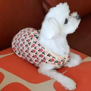 [반려] 베스트 외출 조끼 반려견 실내 산책 데일리 귀여운