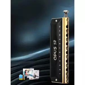 EASTTOP 하모니카 전문가용 세미톤 다이아토닉 2홀 C조 입문용 악기 학생 공연 연습용