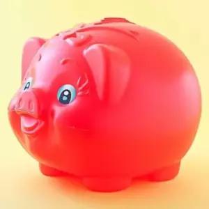 [문구] 저금통 돼지형 동전 왕대 동전저금통 귀여운 저축통