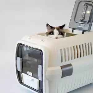 릿첼 이동가방 반려동물 M(중형) 케이지 아이보리 파인 더블도어 캐리 캠핑