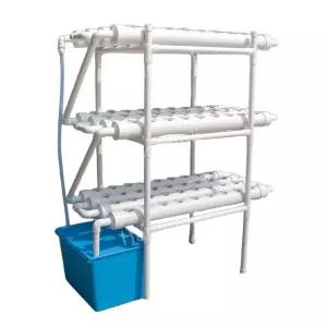 실내 재배기 상추 식물 스마트팜 수경 텃밭 채소