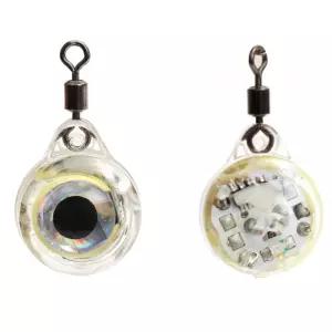 두족류 조과 낚시집어등 Hbo6+5nys