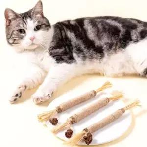 고양이장난감 고양이 치아건강 스트레스 해소 바스락 캣닢 장난감