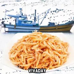 DHD 보리새우 10kg