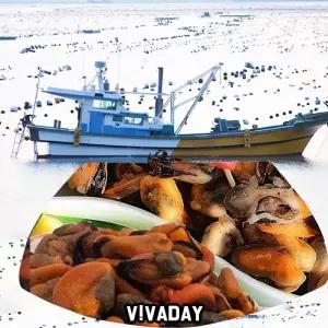 DHD 건홍합 20kg 국산