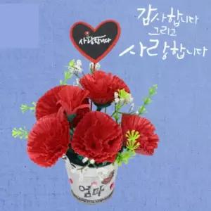 만들기 꽃바구니 조화 가정의달 선물 부모님 카네이션 1인 감사 DIY 어버이날 스승의날 화분 축하