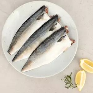 [롯데백화점]오초록 [제주수협] 제주 손질 고등어 실속 세트 1.2kg(600gx2팩)