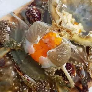 [파인밀] 국산 제철 알배기 활 암꽃게 1kg(4-6미)