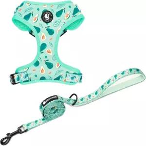 강아지 고양이 하네스 및 목줄 세트 퍼피아 소프트 메시 패딩 조절 가능한 조끼 귀여운 옷 탈출 방지 쉬운