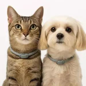 강아지용품 강아지 진드기 퇴치 목걸이 애완동물 모기퇴치 48cm