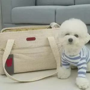 [반려] 강아지이동가방 레일 이동가방 자몽옐로우 반려견가방 이동장