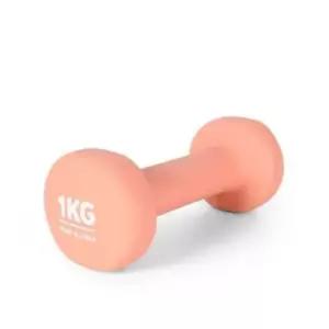 아령 EG 네오플렌 운동 홈트 헬스 1KG