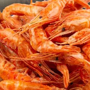 국물용 수염새우 말린육수내는 건조새우 1kg