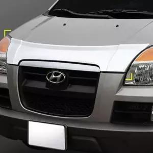 [CAR] 가드 몰딩 방지 버그 스모그 솔루션 보호 장치 차량 뉴스타렉스 후드