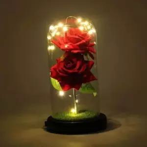 [Deco] 장미 꽃무드등 꽃조명 무드등 기념일선물 유리돔꽃