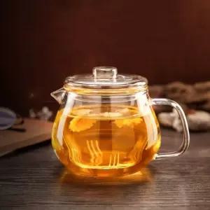 내열유리포트 내열유리 티포트 차포트 500ml