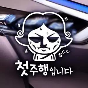 [CAR] 자동차스티커 반사시트지 초보운전 스티커