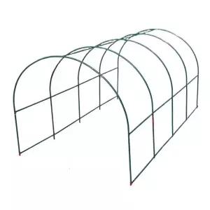 넝쿨식물 식물 넝쿨 포도 터널형 아치 넝쿨지지대 화초