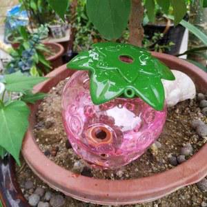 다육 식물 자동 자체 미니 주기 특이한 실내 북유럽 관개 정원 화병 파라 책상 다육이