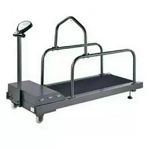 펫휠 런닝머신 C300 대형견 워킹 저소음 스마트